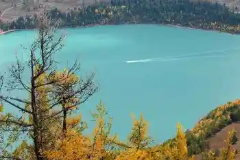 带你进入多彩的喀纳斯,图十