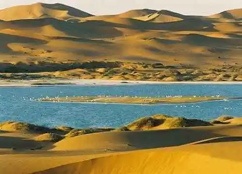 无边南疆大漠游