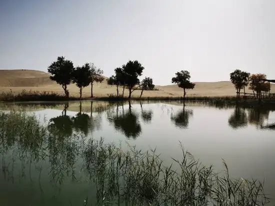 深秋看胡杨慢游库尔勒火车两日三天之罗布人村寨