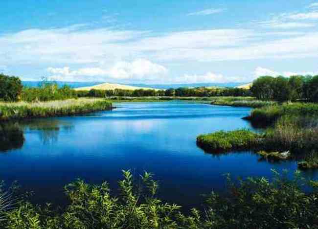 喀納斯為天山以北最美的地方,圖十五