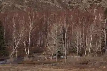 新疆自驾之旅四,图二十一