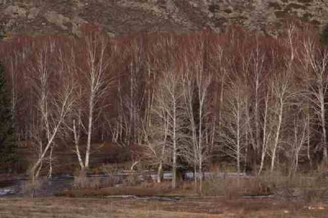 新疆自驾之旅四,图二十一