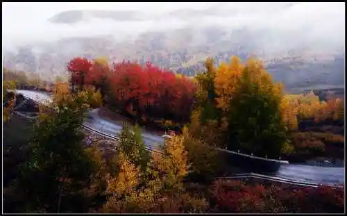 神的自留地--冷暖色的禾木