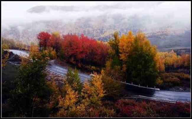 神的自留地--冷暖色的禾木,图二