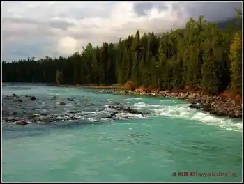 冒雨探访神秘怪异湖——喀纳斯湖（上）,图三