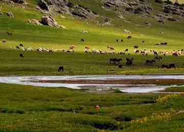禾木图瓦最令人向往的古村,图二