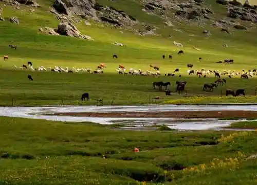 禾木图瓦最令人向往的古村
