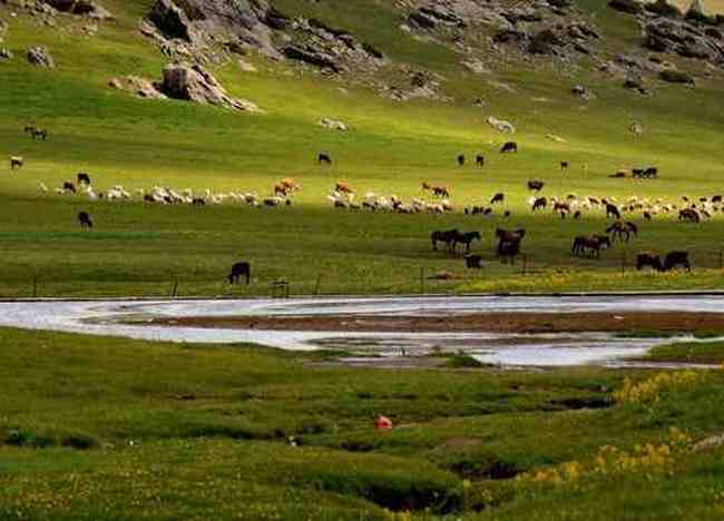禾木图瓦最令人向往的古村,图二