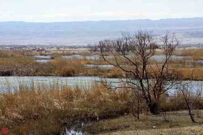 新疆自驾之旅五,图