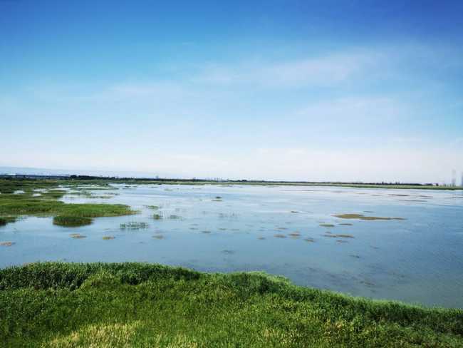 父亲节带爸爸游玛纳斯湿地公园,图五