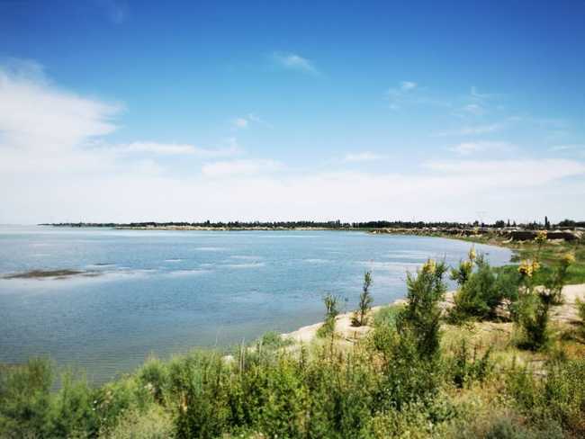 父亲节带爸爸游玛纳斯湿地公园,图四