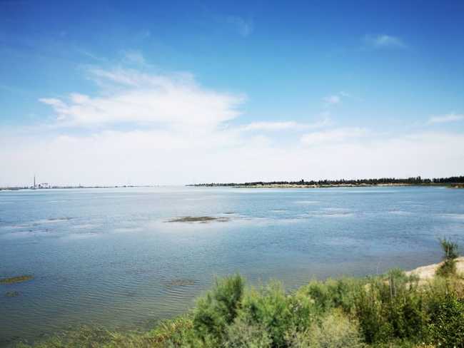 父亲节带爸爸游玛纳斯湿地公园,图六