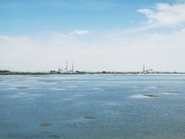 父亲节带爸爸游玛纳斯湿地公园,图八