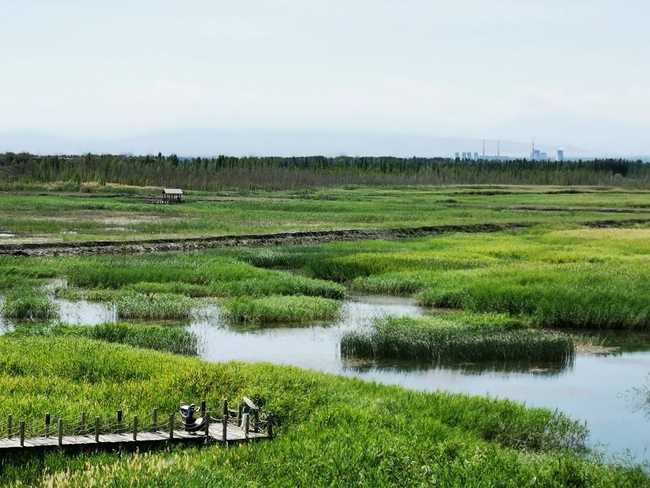 父亲节带爸爸游玛纳斯湿地公园,图九