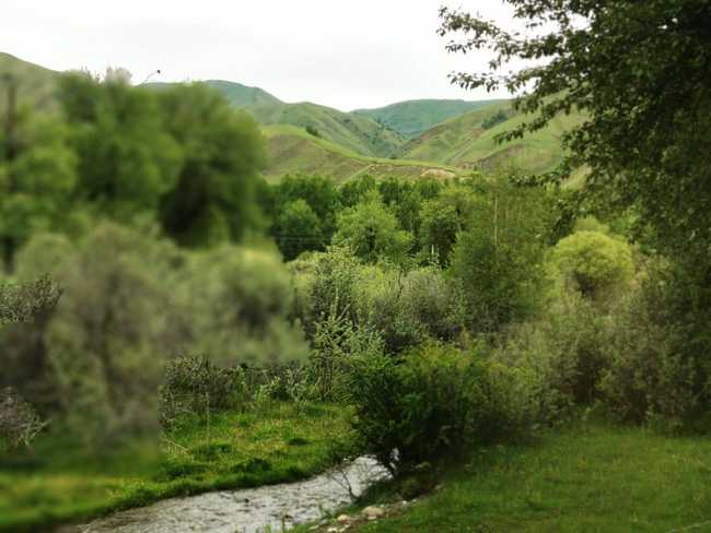 1561263708344770.jpg 畅游那拉提喀拉峻琼库什台五夜四天伊犁游记游感,图十