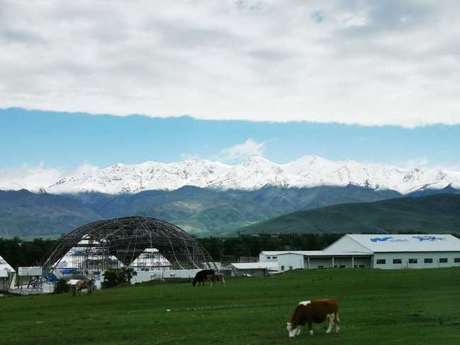 畅游那拉提喀拉峻琼库什台五夜四天伊犁游记游感,图十三