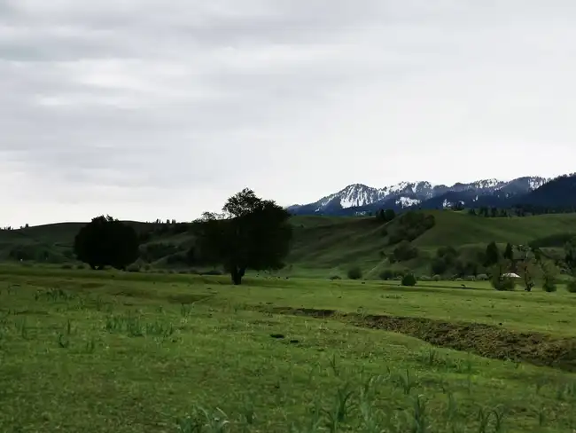 暢游那拉提喀拉峻瓊庫什臺五夜四天伊犁游記游感,圖十四