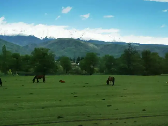 暢游那拉提喀拉峻瓊庫什臺五夜四天伊犁游記游感,圖十五