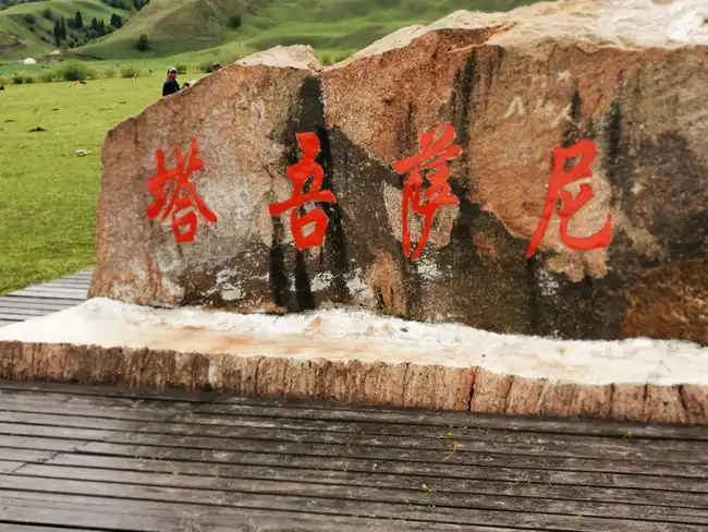 暢游那拉提喀拉峻瓊庫什臺五夜四天伊犁游記游感,圖十八