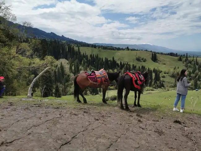 暢游那拉提喀拉峻瓊庫什臺五夜四天伊犁游記游感,圖二十二