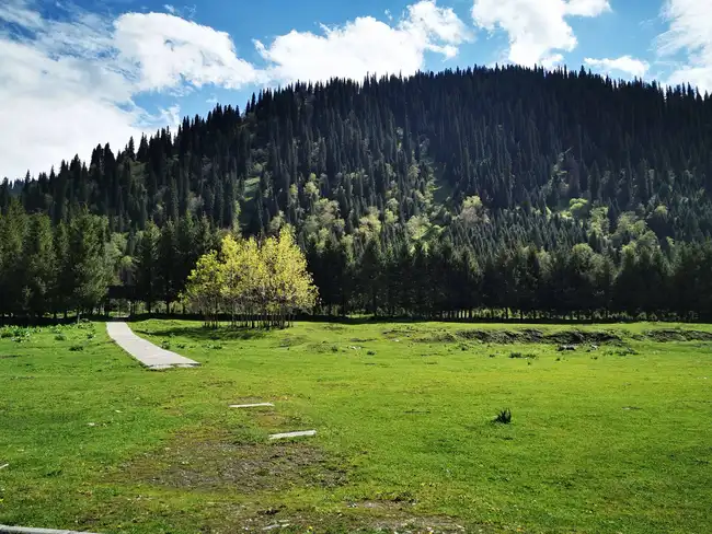 暢游那拉提喀拉峻瓊庫(kù)什臺(tái)五夜四天伊犁游記游感,圖二十六