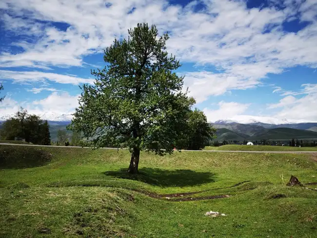 暢游那拉提喀拉峻瓊庫(kù)什臺(tái)五夜四天伊犁游記游感,圖二十五