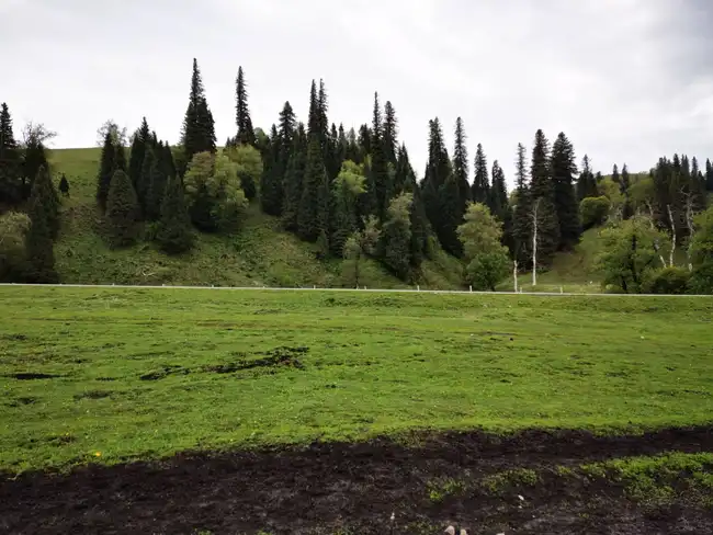 畅游那拉提喀拉峻琼库什台五夜四天伊犁游记游感,图二十七
