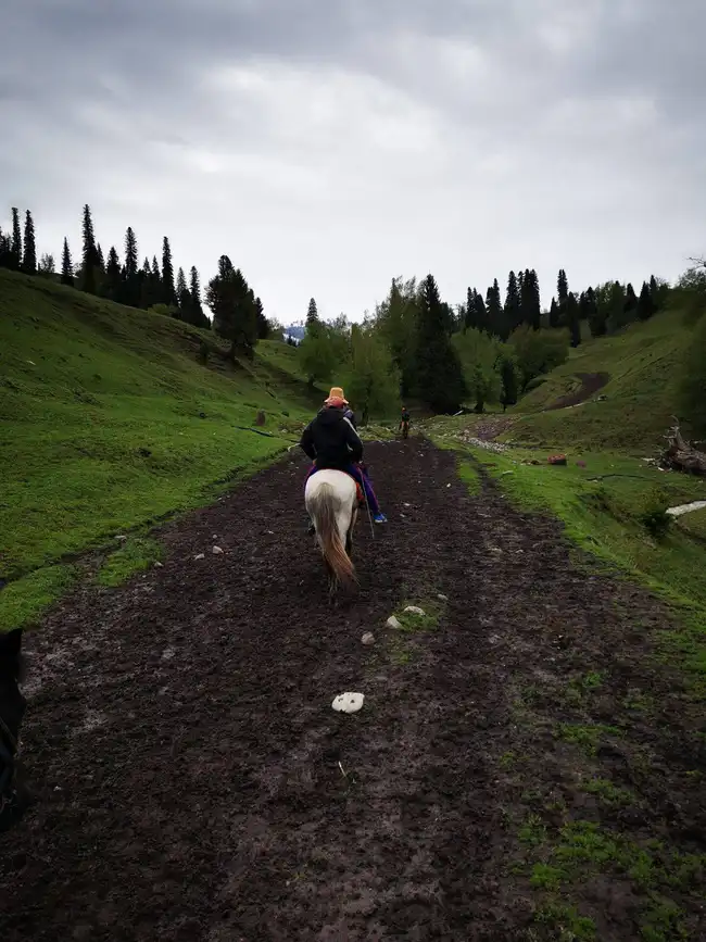 畅游那拉提喀拉峻琼库什台五夜四天伊犁游记游感,图二十八
