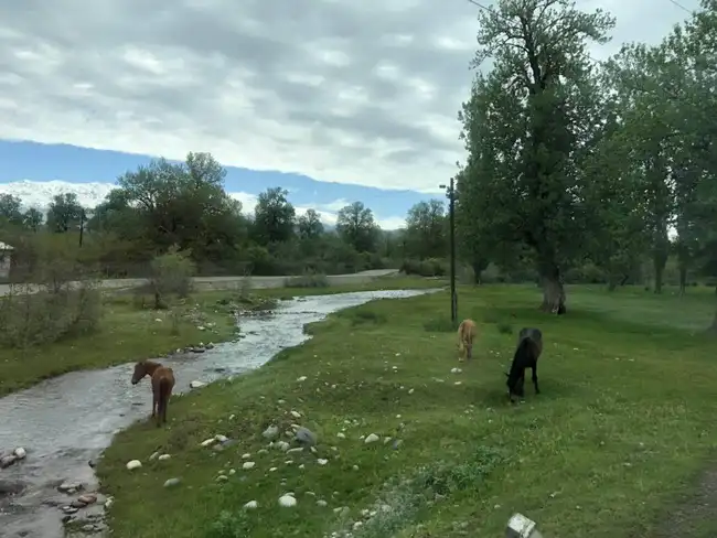 畅游那拉提喀拉峻琼库什台五夜四天伊犁游记游感,图