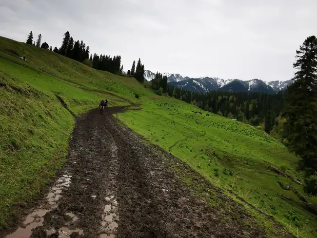 畅游那拉提喀拉峻琼库什台五夜四天伊犁游记游感,图二十九