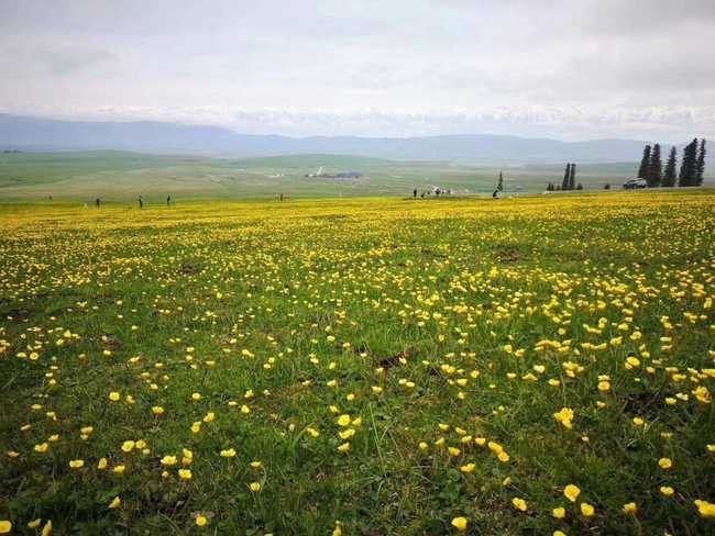 1561278575406047.jpg 畅游那拉提喀拉峻琼库什台五夜四天伊犁游记游感,图