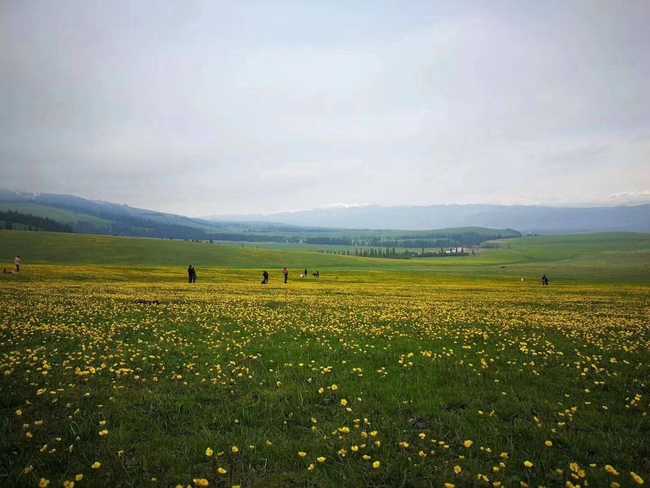 1561278575983878.jpg 畅游那拉提喀拉峻琼库什台五夜四天伊犁游记游感,图