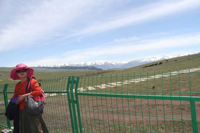 畅游那拉提喀拉峻琼库什台五夜四天伊犁游记游感,图