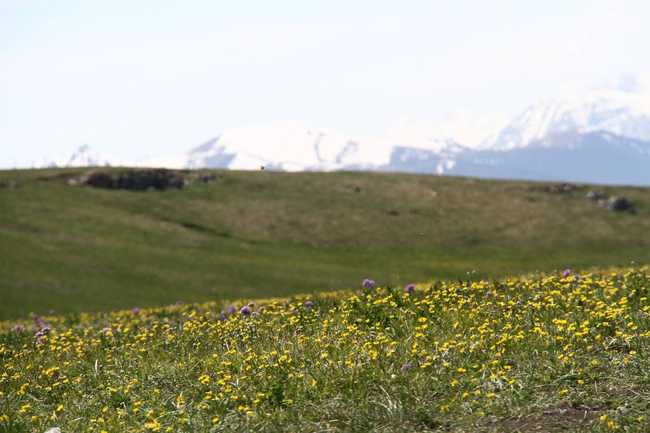 畅游那拉提喀拉峻琼库什台五夜四天伊犁游记游感,图