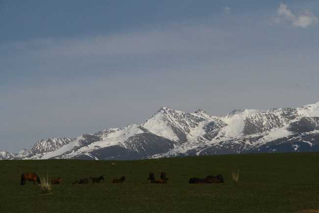 1561279809112183.jpg 畅游那拉提喀拉峻琼库什台五夜四天伊犁游记游感,图