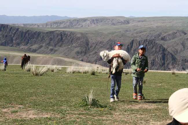 1561279810140528.jpg 畅游那拉提喀拉峻琼库什台五夜四天伊犁游记游感,图