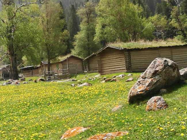 1561344524118858.jpg 畅游那拉提喀拉峻琼库什台五夜四天伊犁游记游感,图