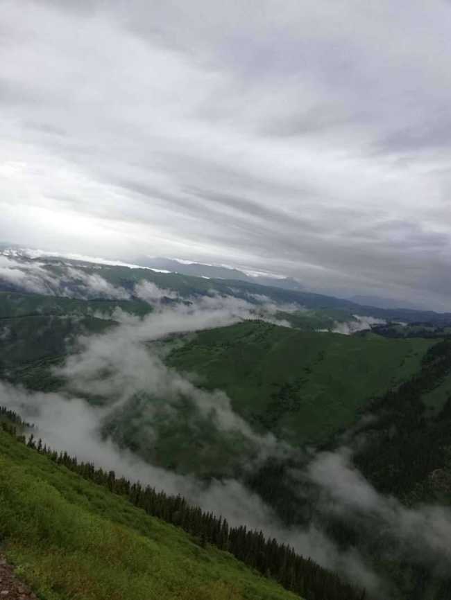 畅游那拉提喀拉峻琼库什台五夜四天伊犁游记游感,图