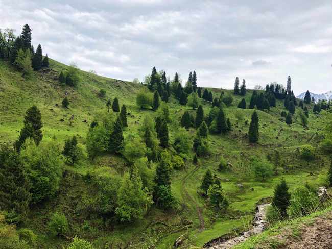 畅游那拉提喀拉峻琼库什台五夜四天伊犁游记游感,图
