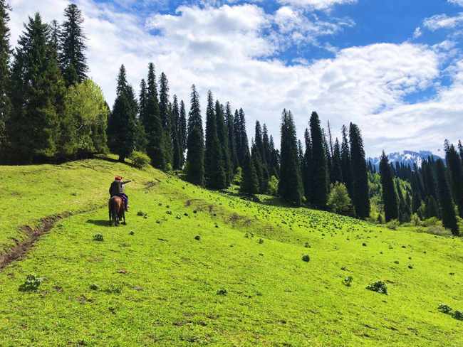 畅游那拉提喀拉峻琼库什台五夜四天伊犁游记游感,图