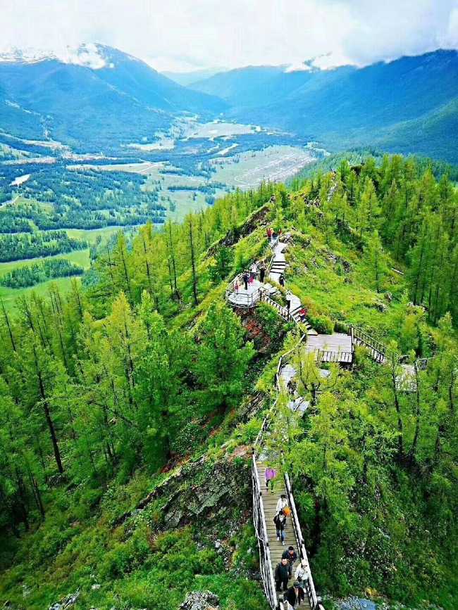 新疆喀纳斯四日游感和对导游的认可,图四