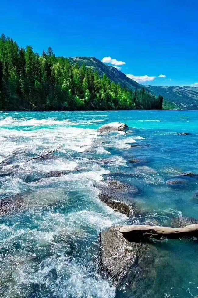 1565511969349073.jpg 新疆喀纳斯四日游感和对导游的认可,图五