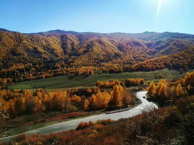 1567170158318306.jpg 2019年八月末喀納斯金秋6日游,圖三