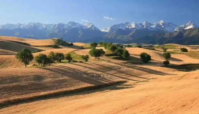 1567397954138626.jpg 2019看金色麥浪江布拉克2日游,圖三