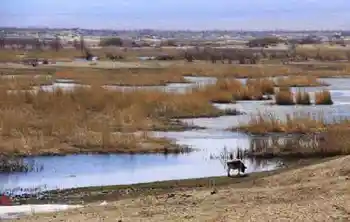 新疆自驾之旅五,图