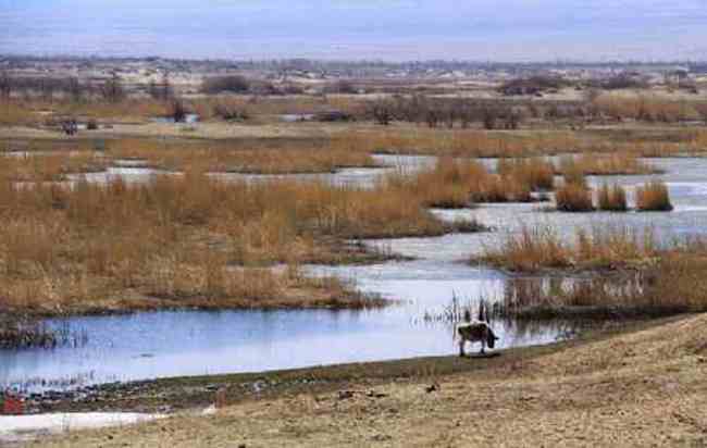 新疆自驾之旅五,图