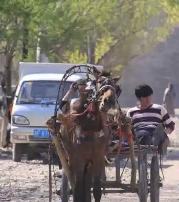 新疆自驾之旅,图