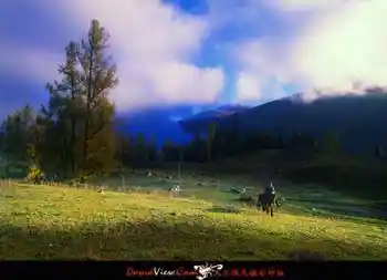 进入新疆喀纳斯,图一