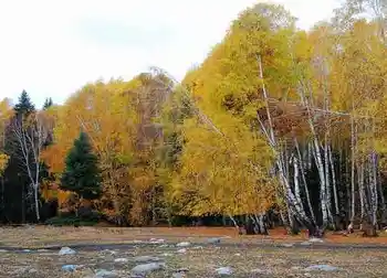 北疆梦幻般的境地,图十二