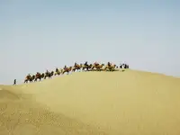 深秋看胡杨慢游库尔勒火车两日三天之罗布人村寨